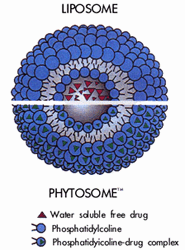 Phytosome
